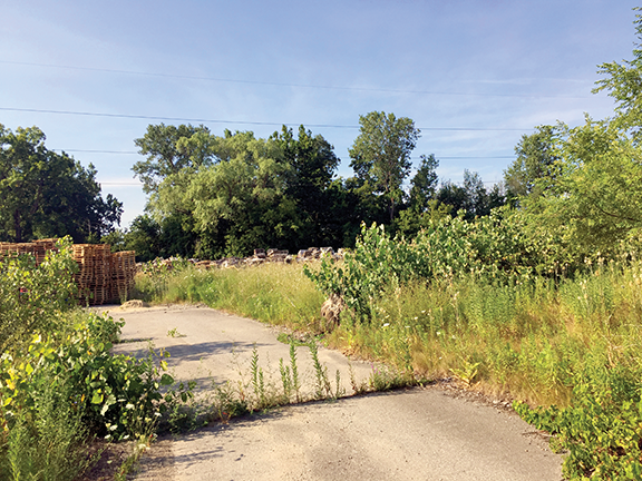 Aero07-ecorse-wayne2-roadside-web