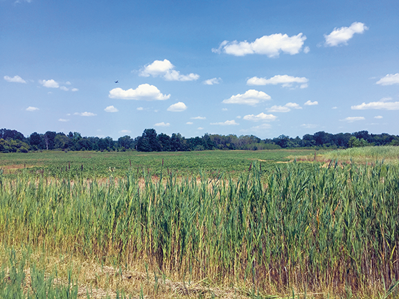 Aero18-pennsylvania-wayne-roadside-web