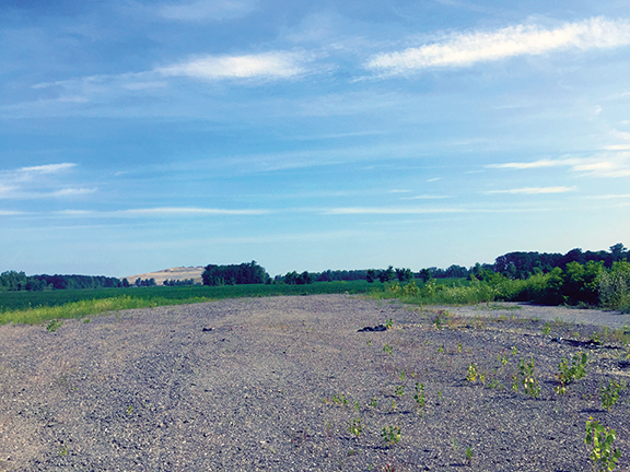 Aero35-haggerty-ecorse-roadside-web