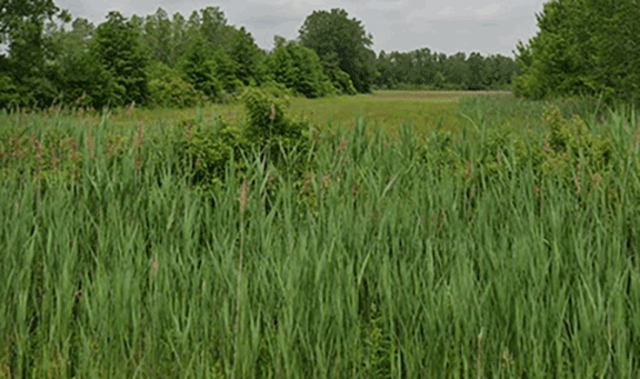 pennsylvania_rd_&_wahrman_rd_landscape_photo